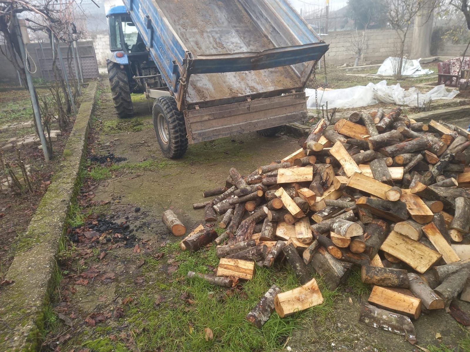 Kaya Orman Ürünleri